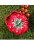 Tomate- boîte