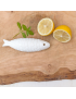 Savon sardine Castelbel au citron et sel marin